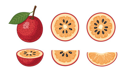 Fototapeta premium Vibrant vector illustration of fresh, ripe passion fruit, showcasing whole, halved, and sliced views with red skin, orange pulp, and black seeds.