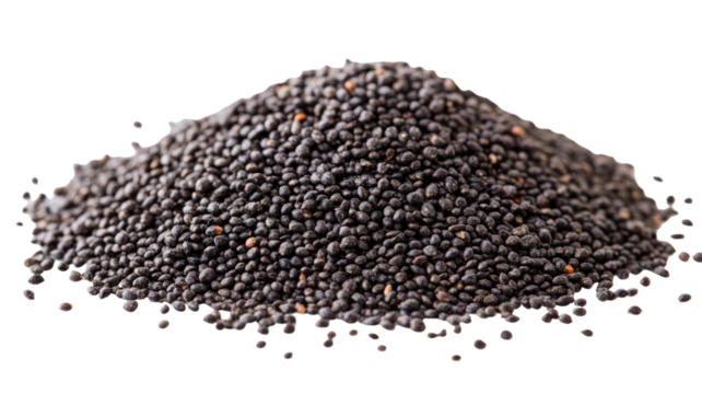 Poppy seeds with tiny textured grains showing natural dark seasoning detail ideal for culinary and food visuals isolated on white background