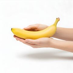 Banana Fruit Single Banana Cupped in Holding Hands