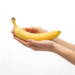 Banana Fruit Carefully Presented by Holding Hands