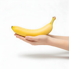 Banana Fruit Single Banana Gently Held by Horizontal Hands
