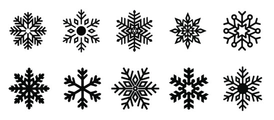 Black plant silhouettes with winter snowflake decorations
