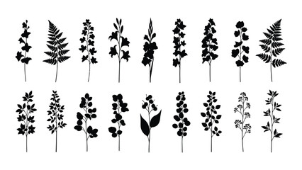 Botanical plant silhouettes collection isolated on white background, Vector