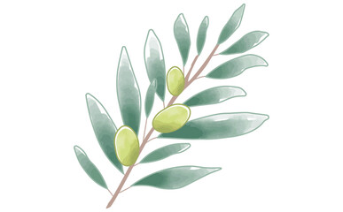 手描きの水彩のシンプルなオリーブの枝のイラスト素材 Olive Branch Illustration
