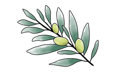 手描きの水彩のシンプルなオリーブの枝のイラスト素材 Olive Branch Illustration