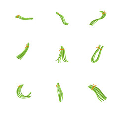 set of green long beans on white background