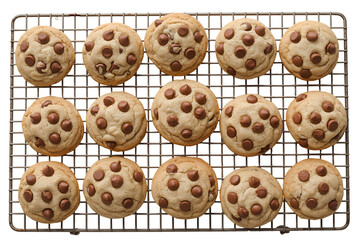 Freshly baked chocolate chip cookies on a cooling rack isolated on transparent background