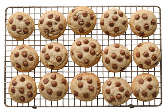 Freshly baked chocolate chip cookies on a cooling rack isolated on transparent background