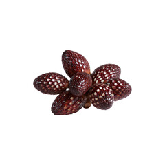 Snake Fruits Salak Floating in the Air, Exotic Tropical Fruit, Fresh Healthy Food, Natural Organic Snack, Tropical Agriculture Illustration Isolated on White Background