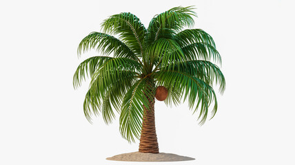 Realistic 3d rendering of a single coconut palm tree isolated on white background