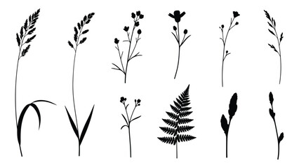 Wild plant and grass silhouettes collection isolated on white background, Vector