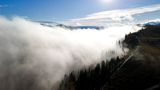 Sunlit ridge road above a valley filled with billowing fog, where conifer silhouettes cast long shadows into the mist. Aerial mountain panorama under a crisp blue sky, perfect for travel and adventure - Powered by Adobe