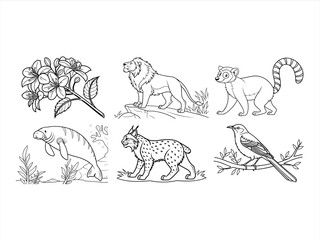 coloring page line art the bird and animal black vector bundle