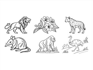 coloring page line art the bird and animal black vector bundle