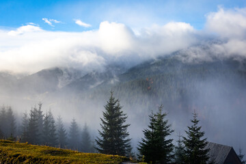 Morning fog rolls through evergreen mountain valley, low clouds drape dark ridges while blue sky breaks above. Silent conifers and a rustic cabin roof emerge from mist, creating a moody alpine ad