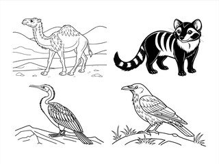 coloring page line art the bird and animal black vector bundle