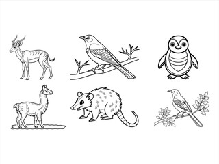 coloring page line art the bird and animal black vector bundle