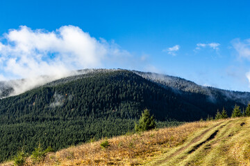 Forest-covered mountain ridge with a light dusting of snow rests under a bright blue sky. Wisps of clouds linger above the slope, where a rugged grassy track leads through calm, highland scenery.