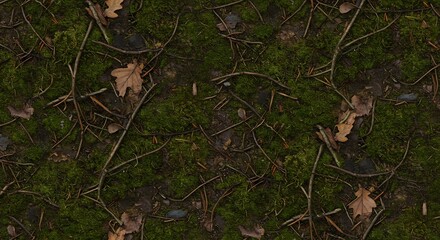 Forest Floor Texture - Moss, Twigs, and Fallen Leaves Seamless Pattern.