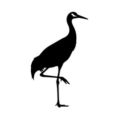 Elegant silhouette of a crane standing on one leg against a clean white background