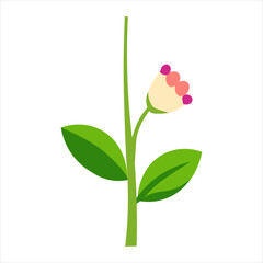 cute simple flat design flower isolated icon vector illustration