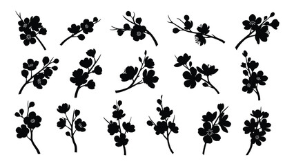 Cherry blossom branch silhouettes set isolated on white background, Vector © MDTauhidul