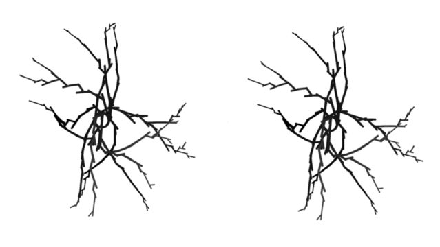 Striking black and white minimalist design featuring abstract tree branches, perfect for modern projects and creating a bold graphic statement