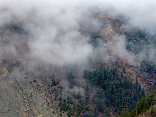 Misty Mountain Forest in Fog Over Rocky Slopes in British Columbia, Canada