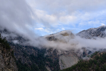 Snowy Mountain Valleys Over Pine Forest in BC, Canada Amid Mist and Cloudy Skies