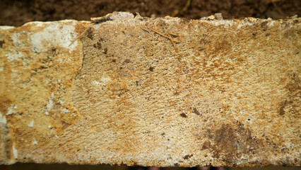Close Up Texture Of Weathered Lightweight Brick Surface
