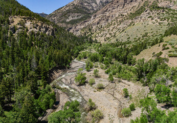 Rushing Mountain Stream in Wyoming Valley
