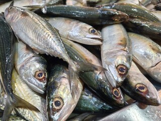 Fresh livestock fish selling at wet market