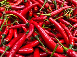 Red Chilies selling at market