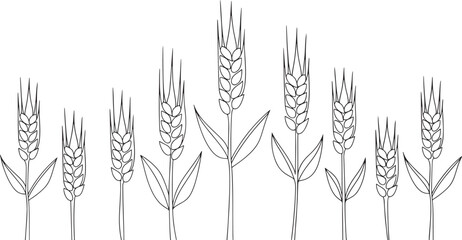  illustration of a bundle of wheat stalks with leaves.
