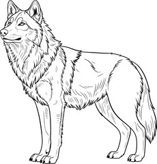 Wolf Line Art Illustration – Transparent Black and White Wild Animal Outline Drawing