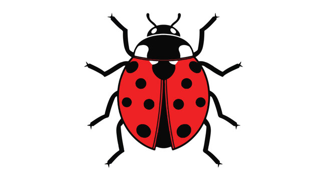 Close-up illustration of a red and black ladybug with spots on a white background.