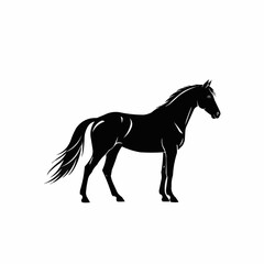 Elegant Black Horse Silhouette Standing Proudly.