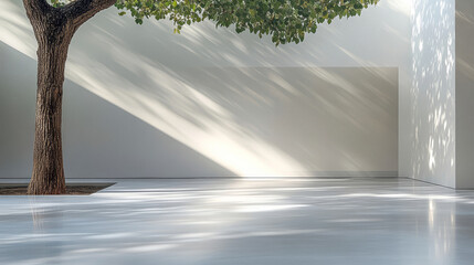 Natural light cascades onto a minimalist interior, highlighting a tree in a serene architectural space