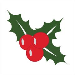 Festive holly sprig with red berries and green leaves