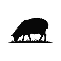 Silhouette of a sheep grazing in a field of grass
