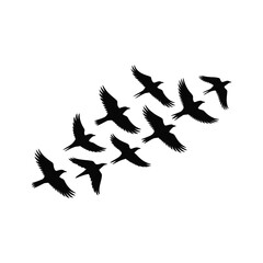 Silhouettes of birds flying in formation against a white background