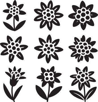 Edelweiss flower icon vector illustration in simple black silhouette style