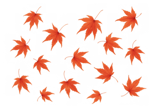 Falling red and orange maple leaves creating an autumnal pattern, scattered botanical elements with a transparent background - Powered by Adobe