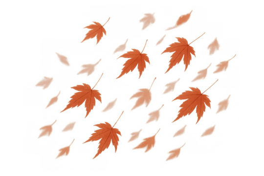 Autumn maple leaves falling, blowing in wind, vibrant fall foliage elements with transparent background