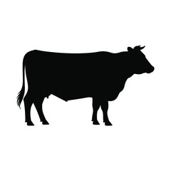 Silhouette of a black cow standing in profile