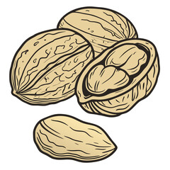 A stylized illustration of a group of whole and halved peanuts with a single peanut in the foreground on a white background