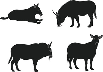 Bovine silhouette vector, grazing lying chewing standing poses, farm animal clipart, black livestock graphic, isolated posture design