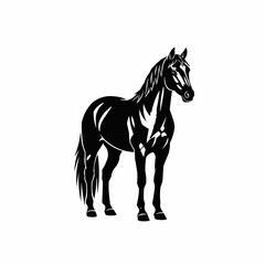 Elegant Black Horse Standing Proudly in Silhouette.