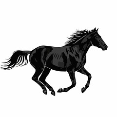 Majestic Black Horse Galloping Gracefully Across a White Background.