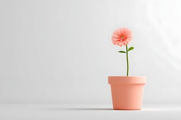 A single flower blooming in a simple ceramic pot